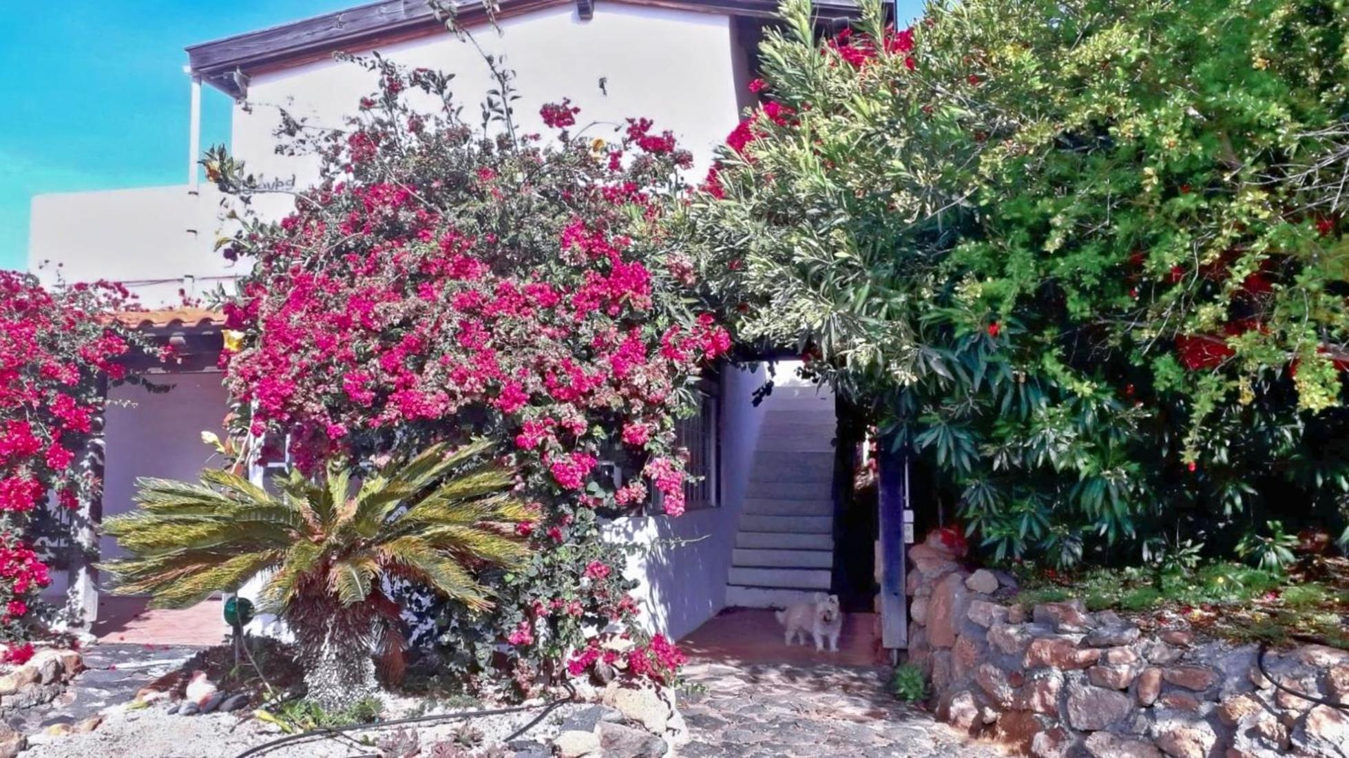 Villa -Casa Azul-Arico Viejo La Sabinita - Baden, Wandern, Klettern, Individualurlaub Jenseits Des Massentourismus, Extérieur photo