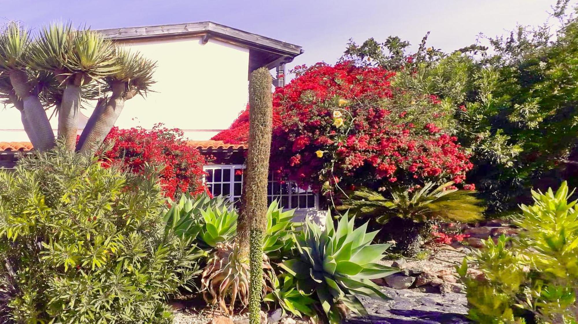 Villa -Casa Azul-Arico Viejo La Sabinita - Baden, Wandern, Klettern, Individualurlaub Jenseits Des Massentourismus, Extérieur photo