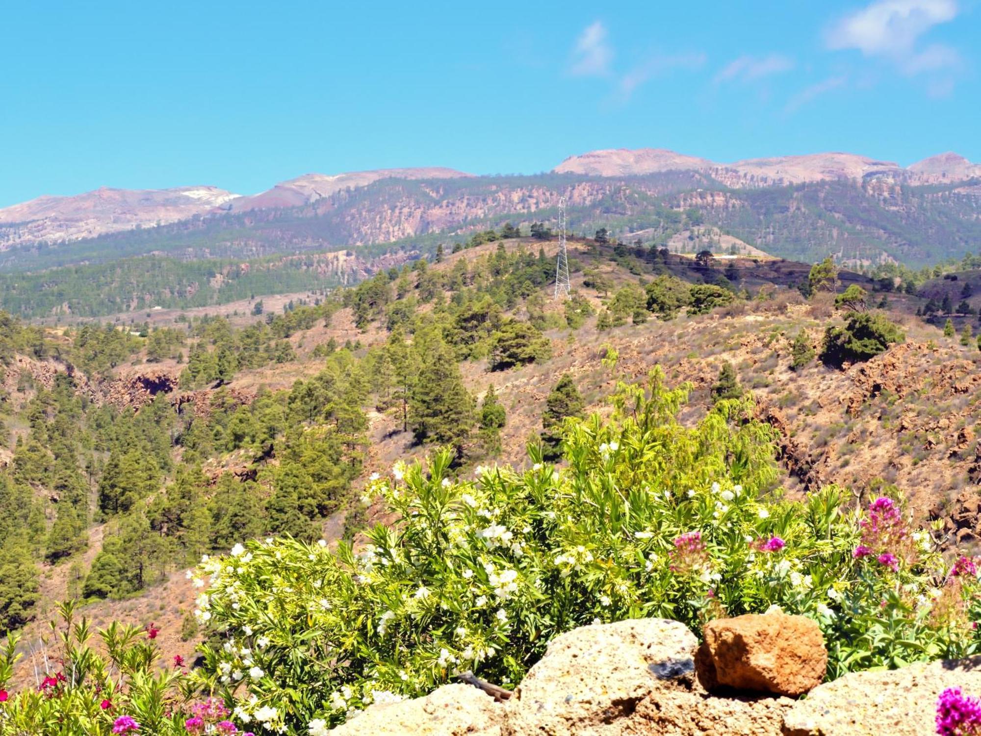 Villa -Casa Azul-Arico Viejo La Sabinita - Baden, Wandern, Klettern, Individualurlaub Jenseits Des Massentourismus, Extérieur photo