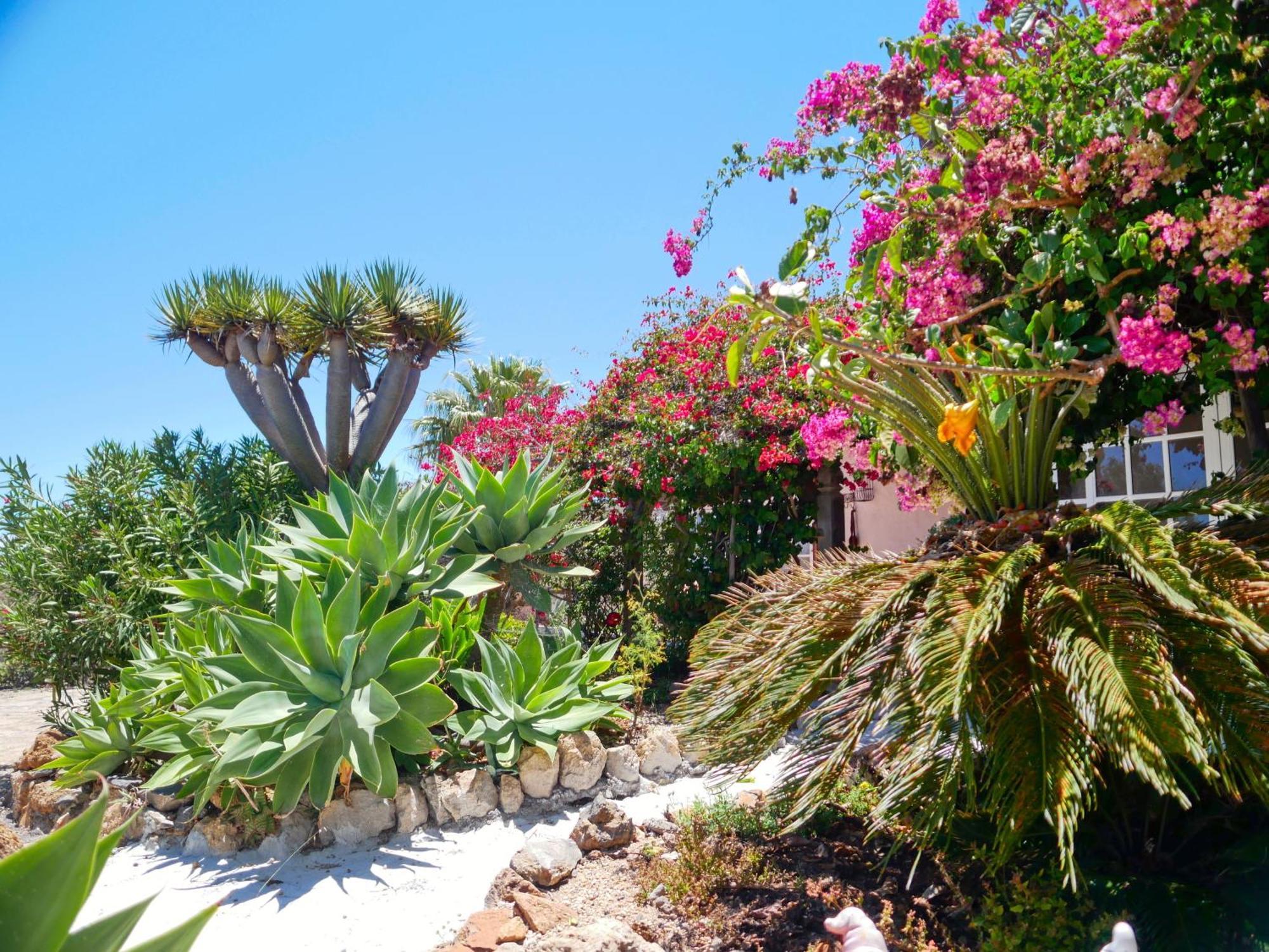 Villa -Casa Azul-Arico Viejo La Sabinita - Baden, Wandern, Klettern, Individualurlaub Jenseits Des Massentourismus, Extérieur photo